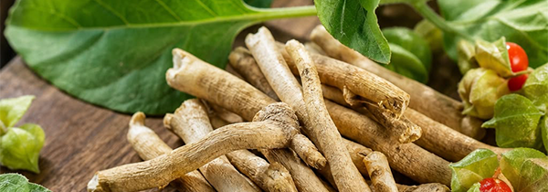 Ashwagandha